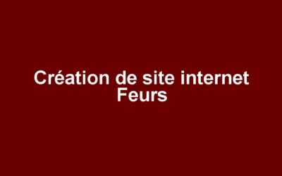 Création de site internet Feurs