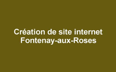Création de site internet Fontenay-aux-Roses